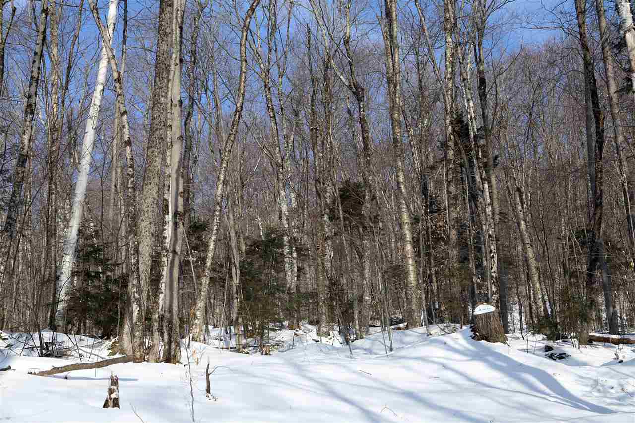 826 Westcott Road Duxbury, VT 05676 - Photo 22 of 33 Gallery Image 22