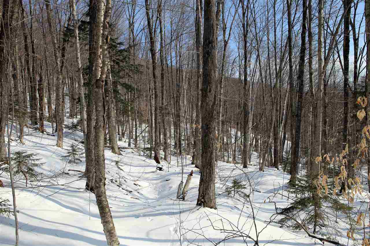 826 Westcott Road Duxbury, VT 05676 - Photo 24 of 33 Gallery Image 24