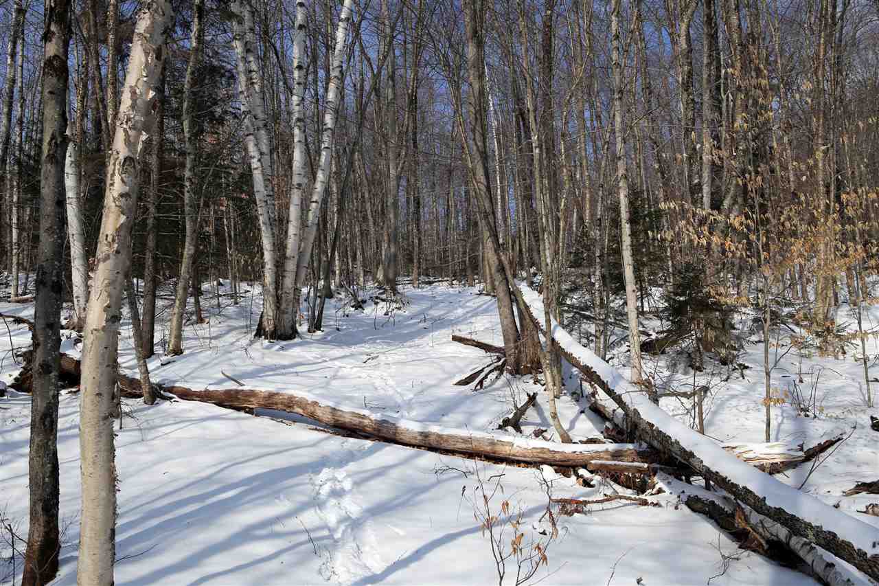 826 Westcott Road Duxbury, VT 05676 - Photo 25 of 33 Gallery Image 25