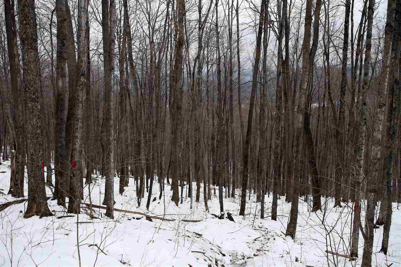 826 Westcott Road Duxbury, VT 05676 - Photo 27 of 33 Gallery Image 27