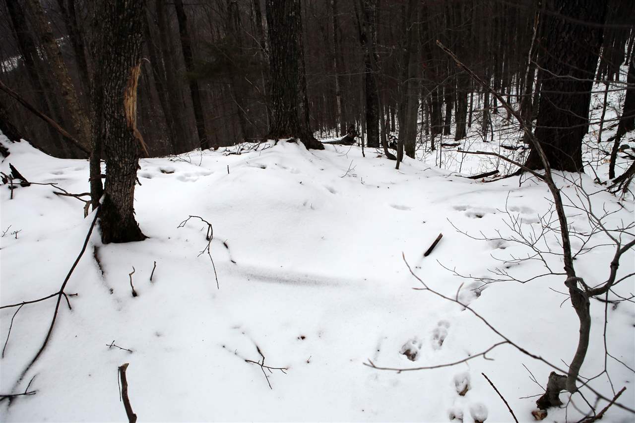 826 Westcott Road Duxbury, VT 05676 - Photo 28 of 33 Gallery Image 28