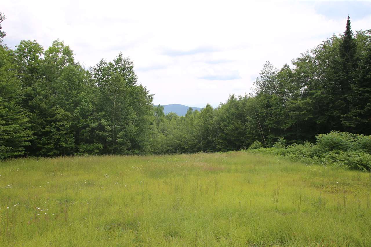 826 Westcott Road Duxbury, VT 05676 - Photo 6 of 33 Gallery Image 6