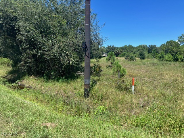 3958 Everhigh Acres Road Clewiston, FL 33440 - Photo 2 of 5 a big yard with lots of green space and plants