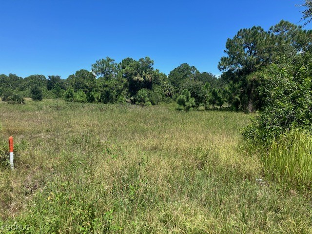 3958 Everhigh Acres Road Clewiston, FL 33440 - Photo 3 of 5 a view of a field with trees in the background