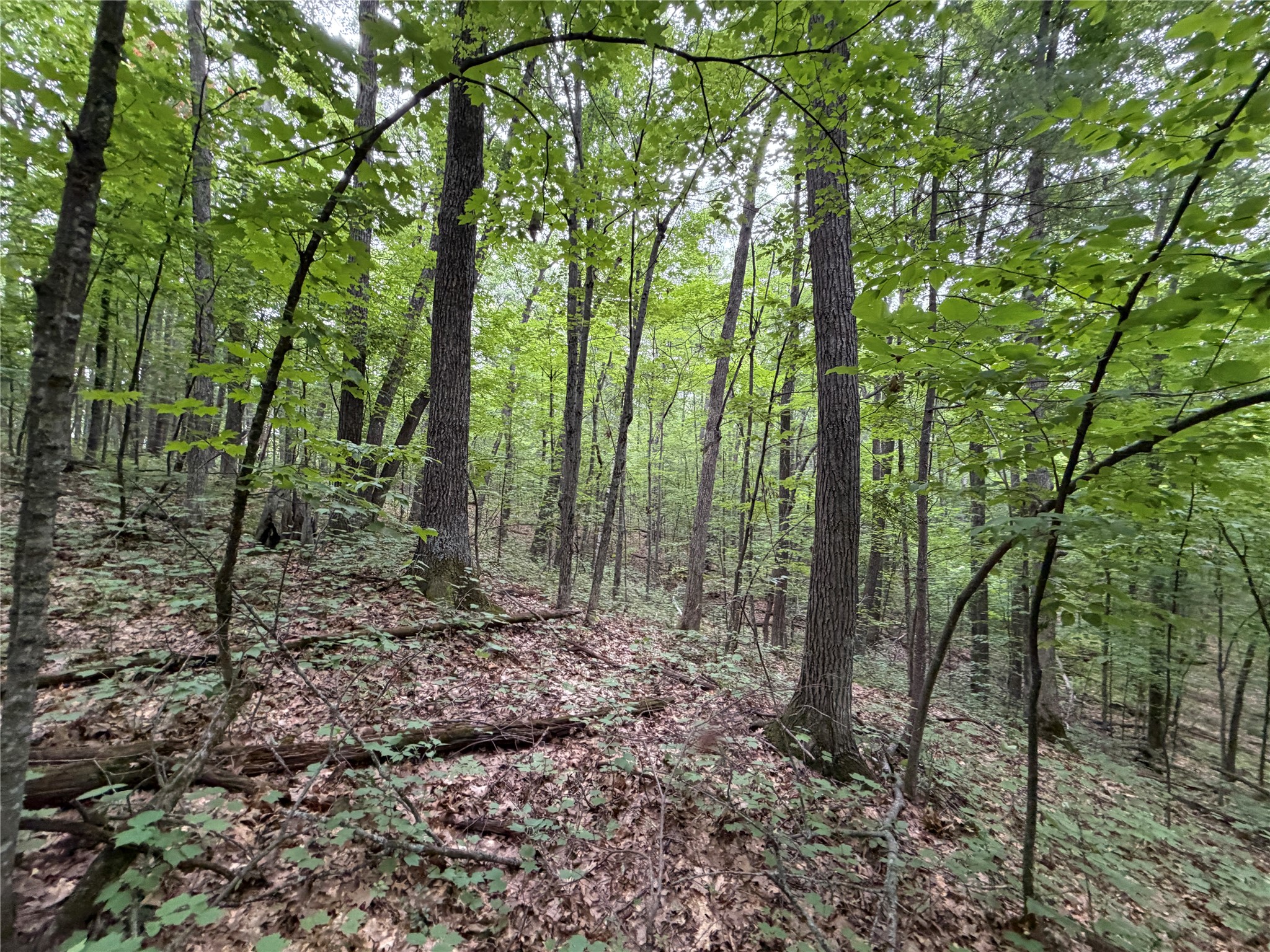 Lot 1 Nor Wis Road North Hayward, WI 54843 - Photo 29 of 37