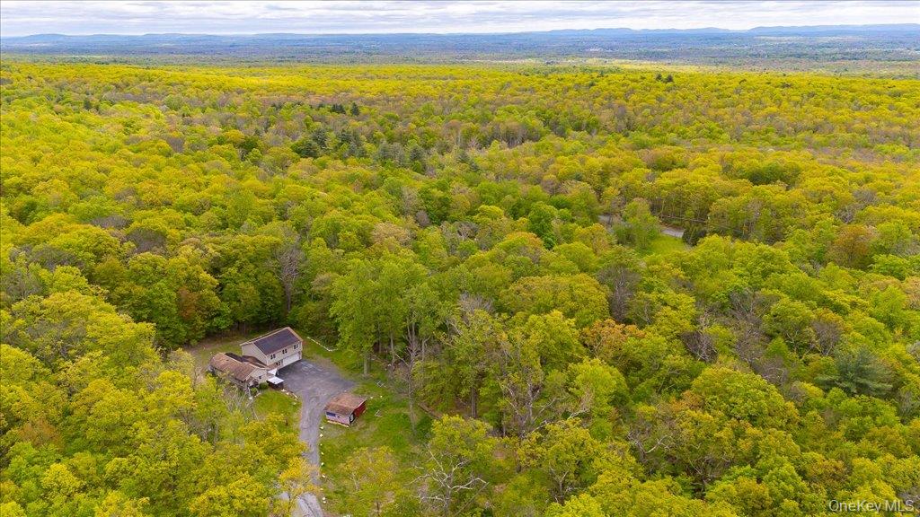 80 Jones Road Pine Bush, NY 12566 - Photo 35 of 44