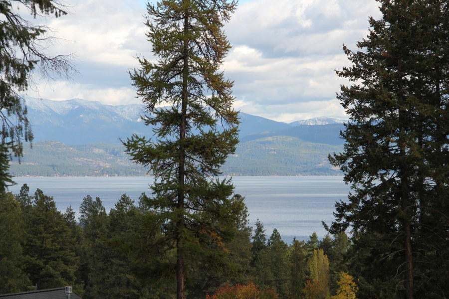 371 Skookum Road Lakeside, MT 59922 - Photo 1 of 1 Gallery Image 1