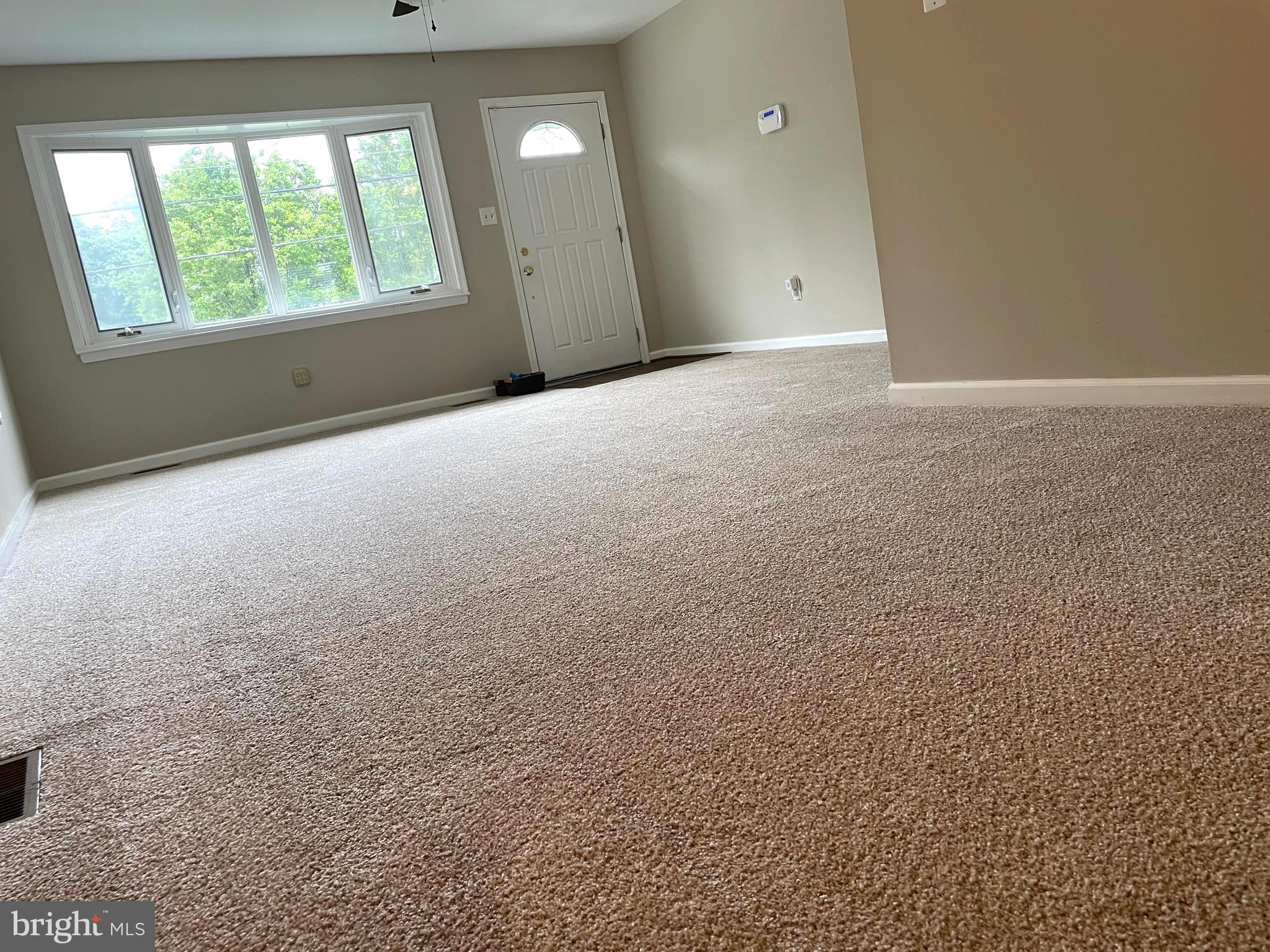 7944 Tick Neck Road Pasadena, MD 21122 - Photo 10 of 40 New Carpet