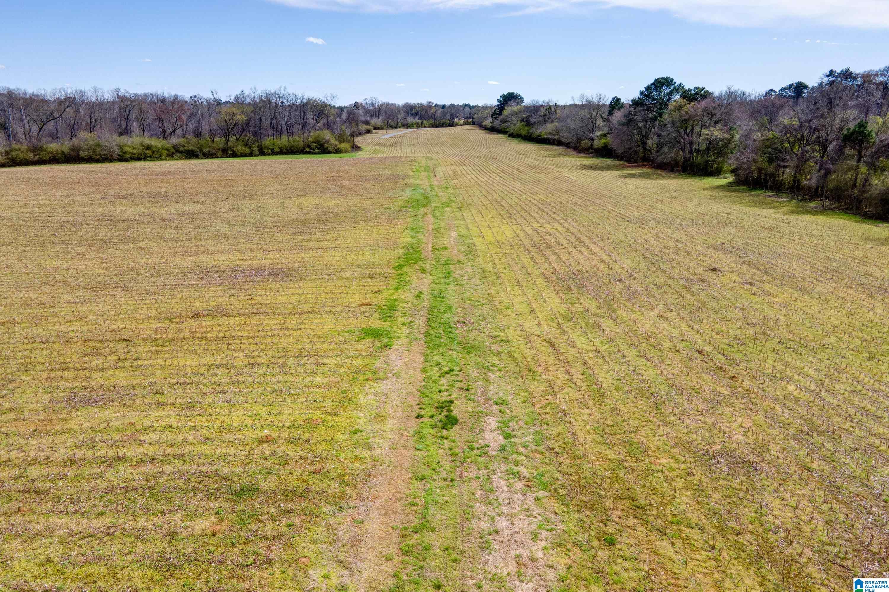 Bates Road, Unit 100 Vincent, AL 35178 - Photo 13 of 29