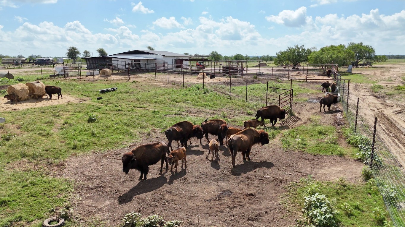 0 Watterson Road Red Rock, TX 78662 - Photo 11 of 15 a view of a lake