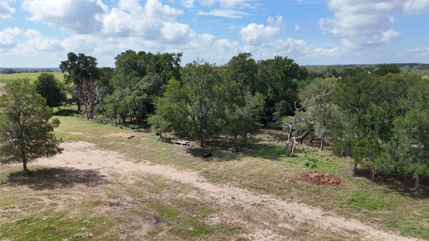 0 Watterson Road Red Rock, TX 78662 - Photo 12 of 15 a view of a forest with trees in front of it