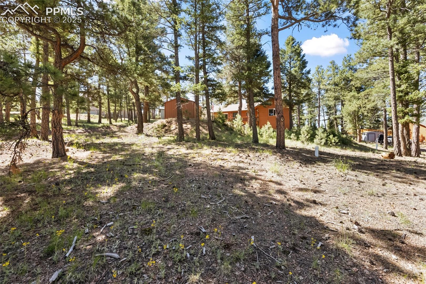 234 Wahsatch Road Florissant, CO 80816 - Photo 28 of 44 Gallery Image 28