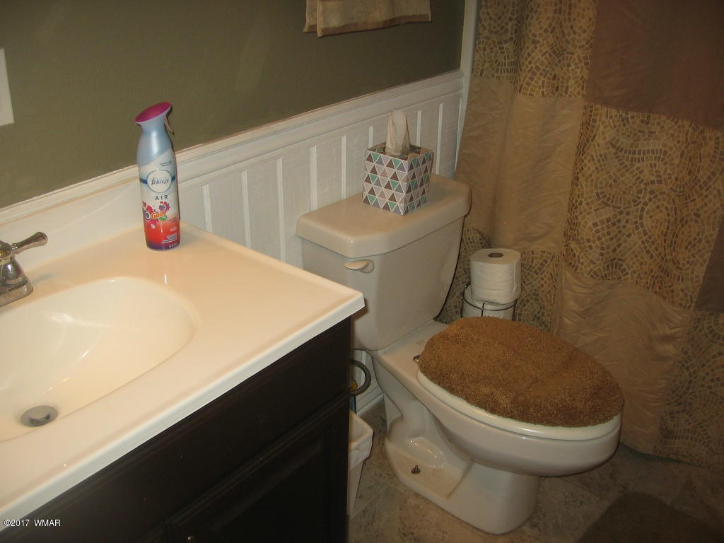 1731 Thistle Road Show Low, AZ 85901 - Photo 20 of 39