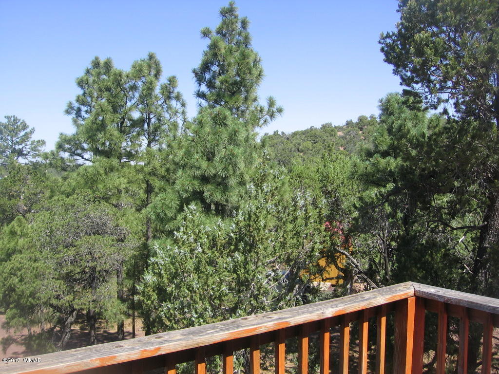 1731 Thistle Road Show Low, AZ 85901 - Photo 24 of 39