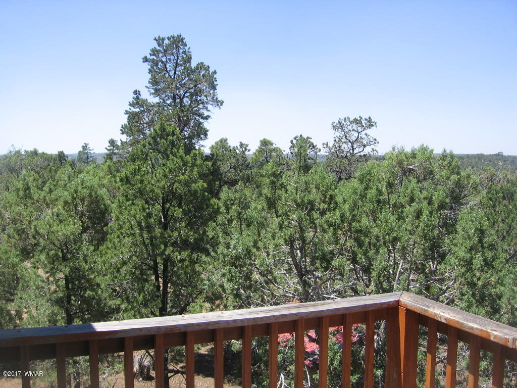 1731 Thistle Road Show Low, AZ 85901 - Photo 25 of 39
