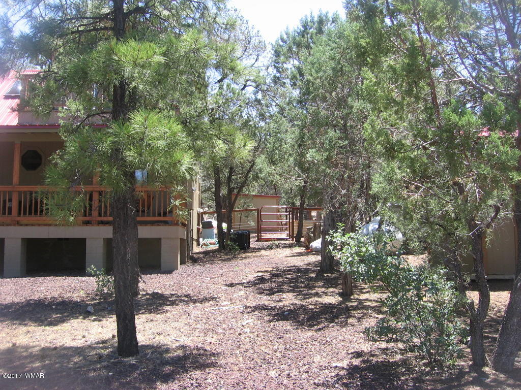 1731 Thistle Road Show Low, AZ 85901 - Photo 30 of 39