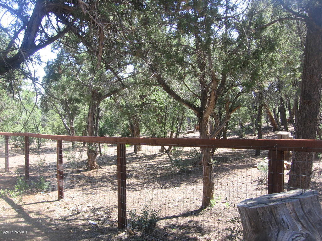 1731 Thistle Road Show Low, AZ 85901 - Photo 35 of 39