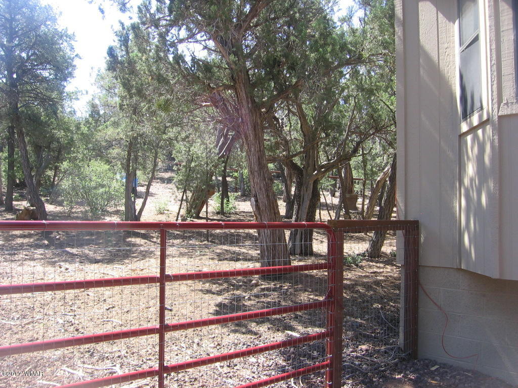 1731 Thistle Road Show Low, AZ 85901 - Photo 36 of 39