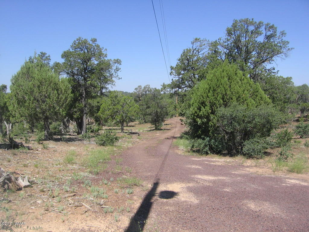 1731 Thistle Road Show Low, AZ 85901 - Photo 38 of 39