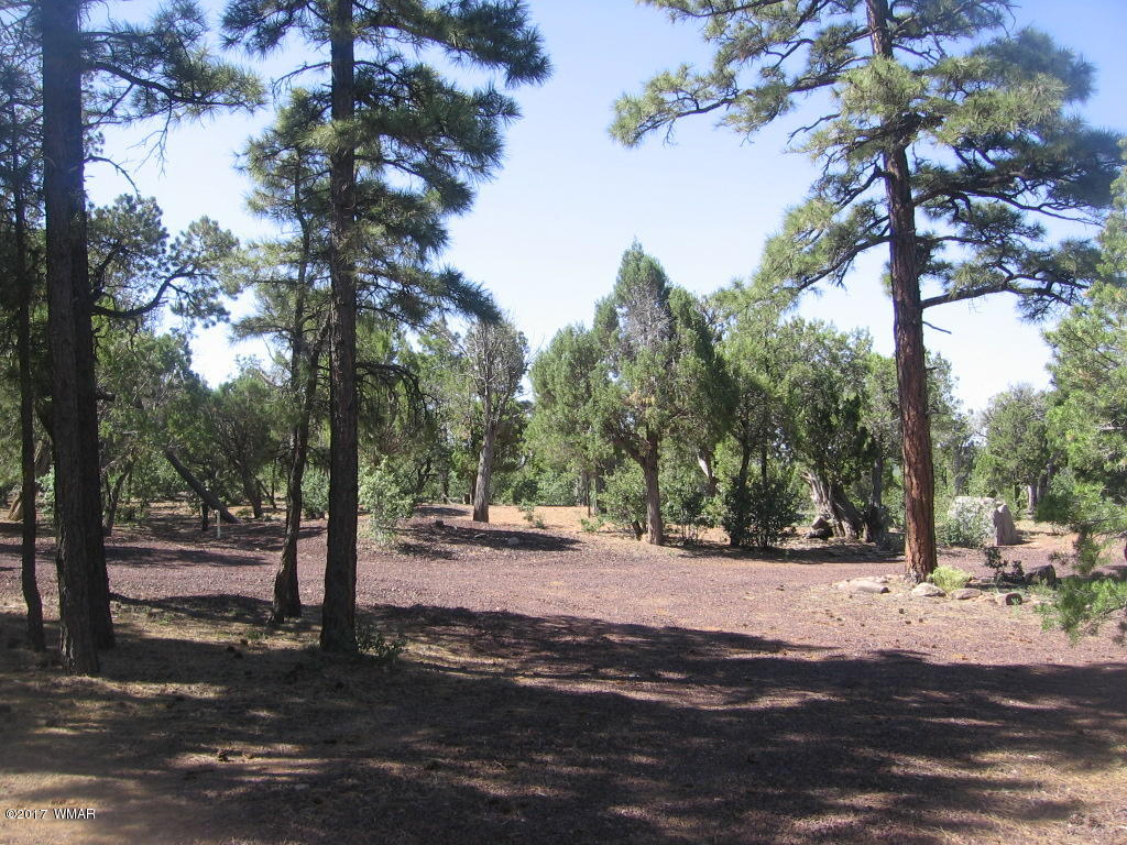 1731 Thistle Road Show Low, AZ 85901 - Photo 39 of 39