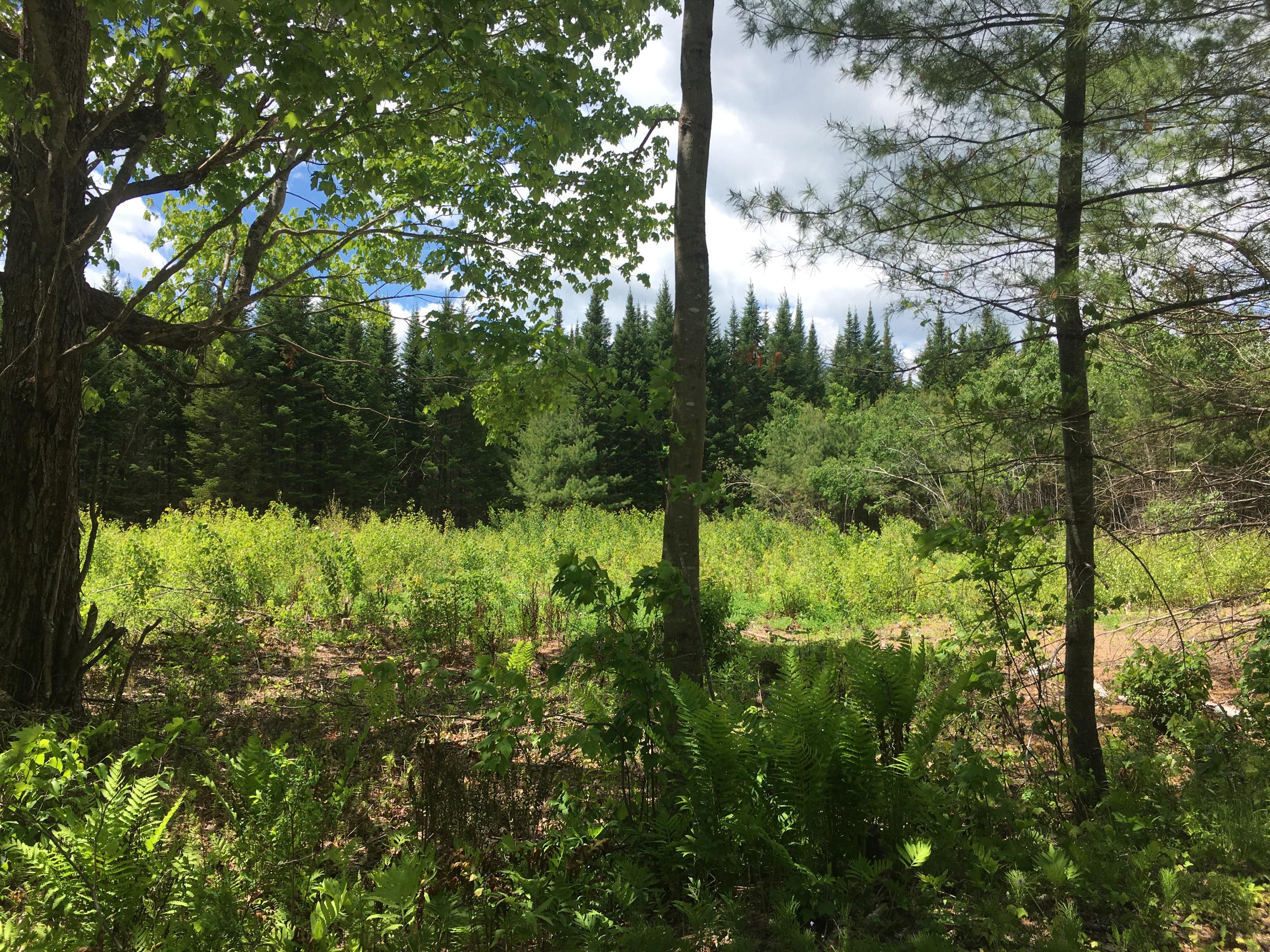 M6-l40-4 Bombazee Road Norridgewock, ME 04957 - Photo 2 of 6 Lot4B
