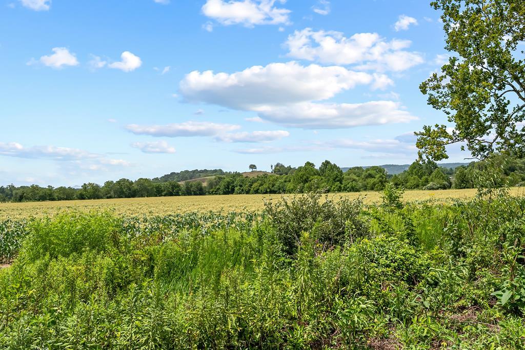 Tbd Tbd Chiswell Road, Unit 2328 Max Meadows, VA 24360 - Photo 2 of 17 Gallery Image 2