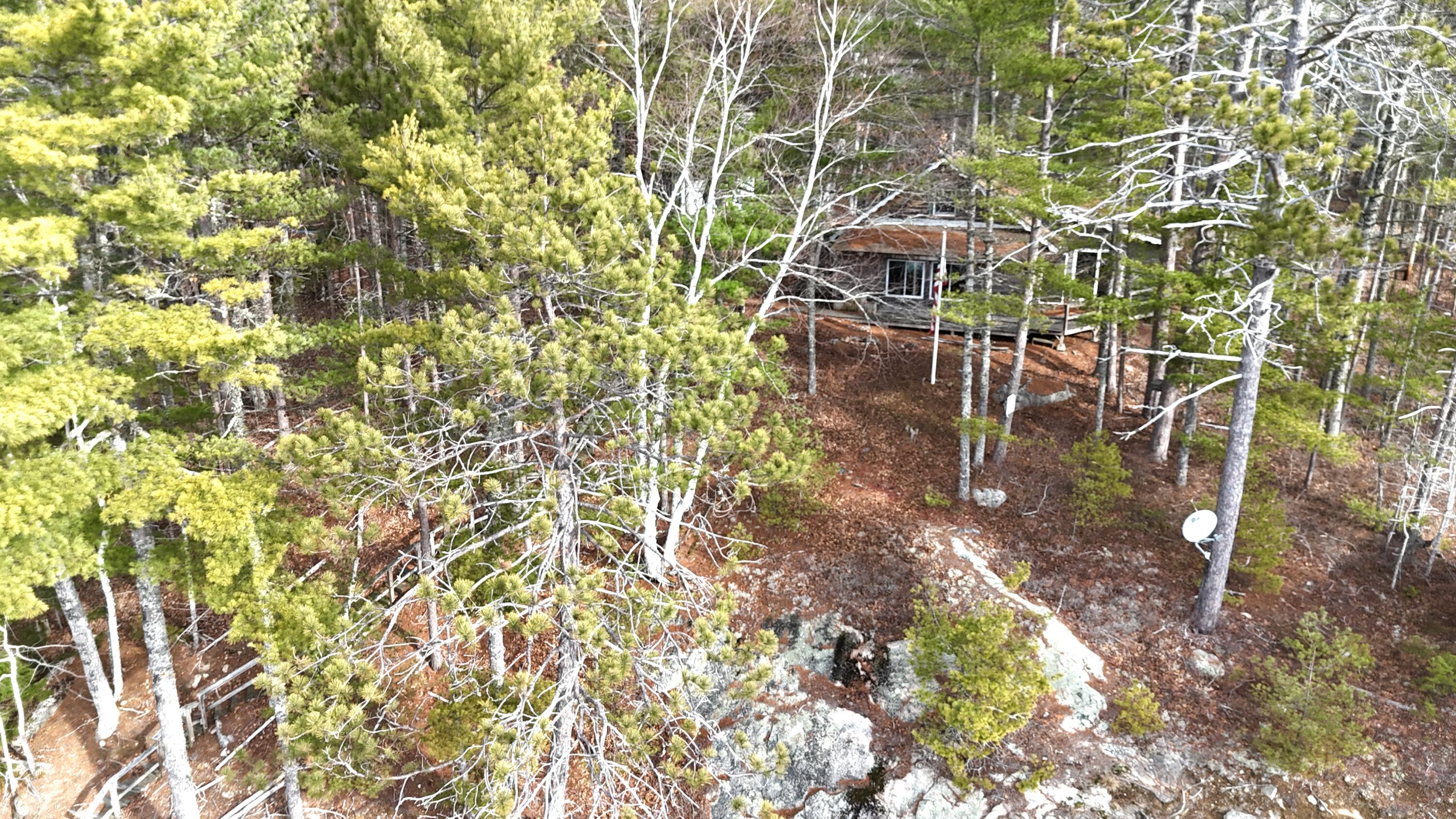 422 Bonney Brook Road Princeton, ME 04668 - Photo 3 of 48