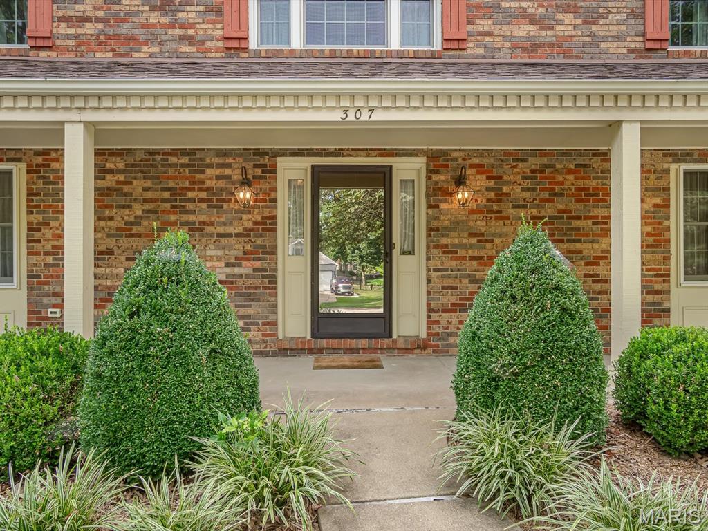 307 John Henry Road Belleville, IL 62220 - Photo 4 of 36 Gallery Image 4