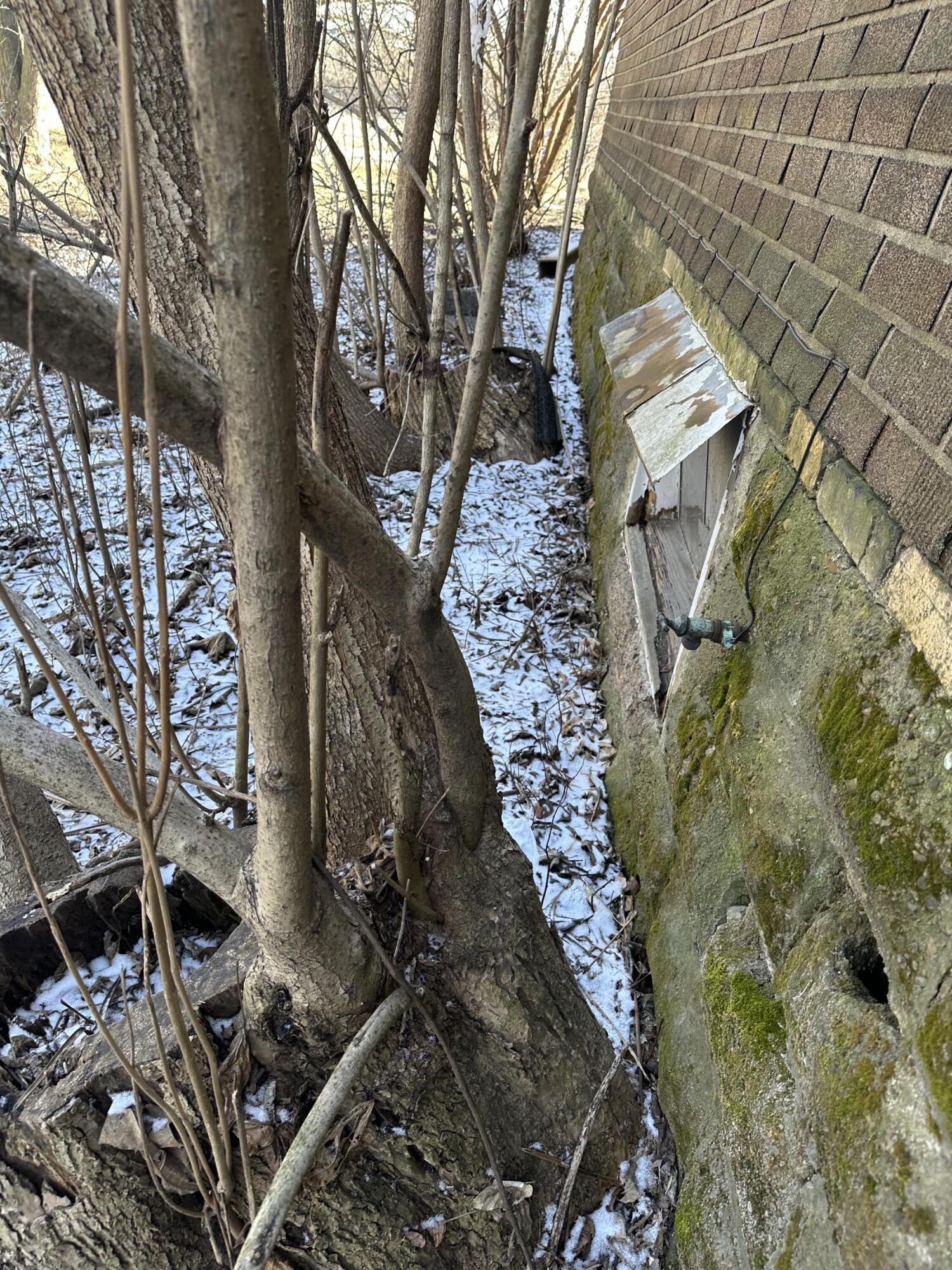 160 Clark Road Gary, IN 46406 - Photo 10 of 16 a backyard of a house with large trees