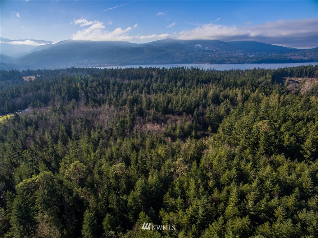9999 Thompson Road Sequim, WA 98382 - Photo 1 of 6 Gallery Image 1