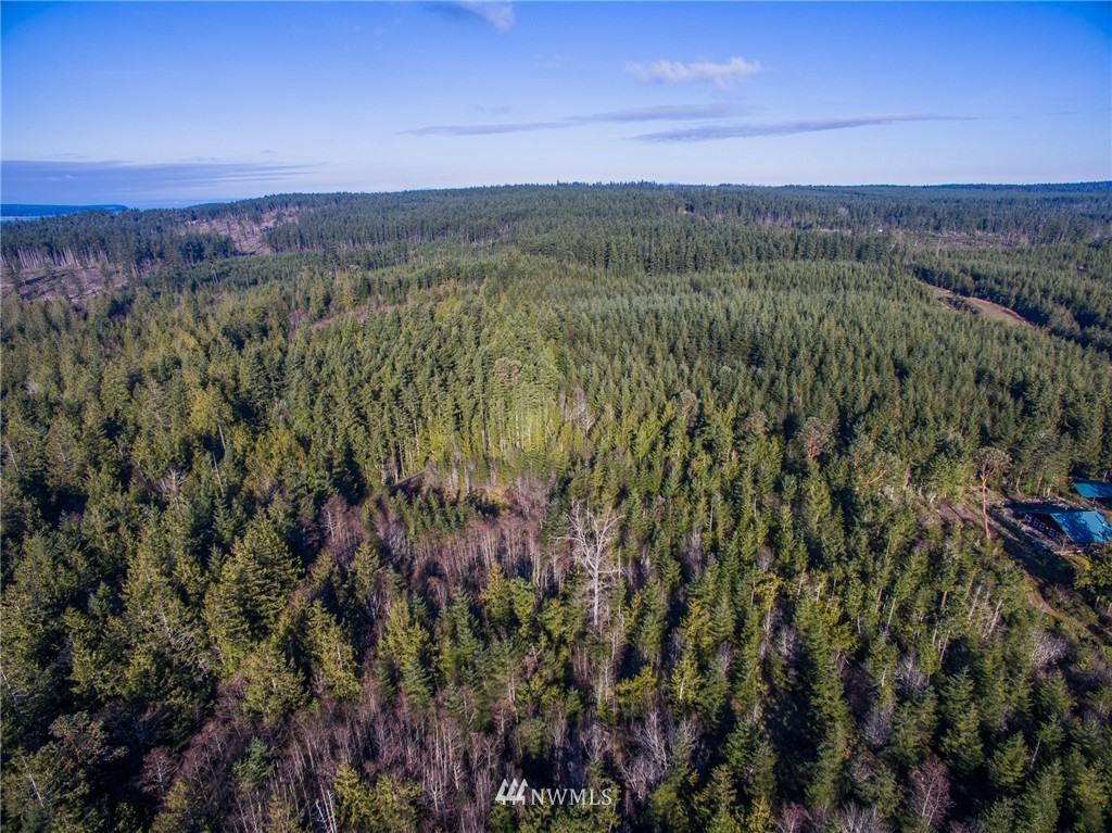 9999 Thompson Road Sequim, WA 98382 - Photo 4 of 6 Gallery Image 4