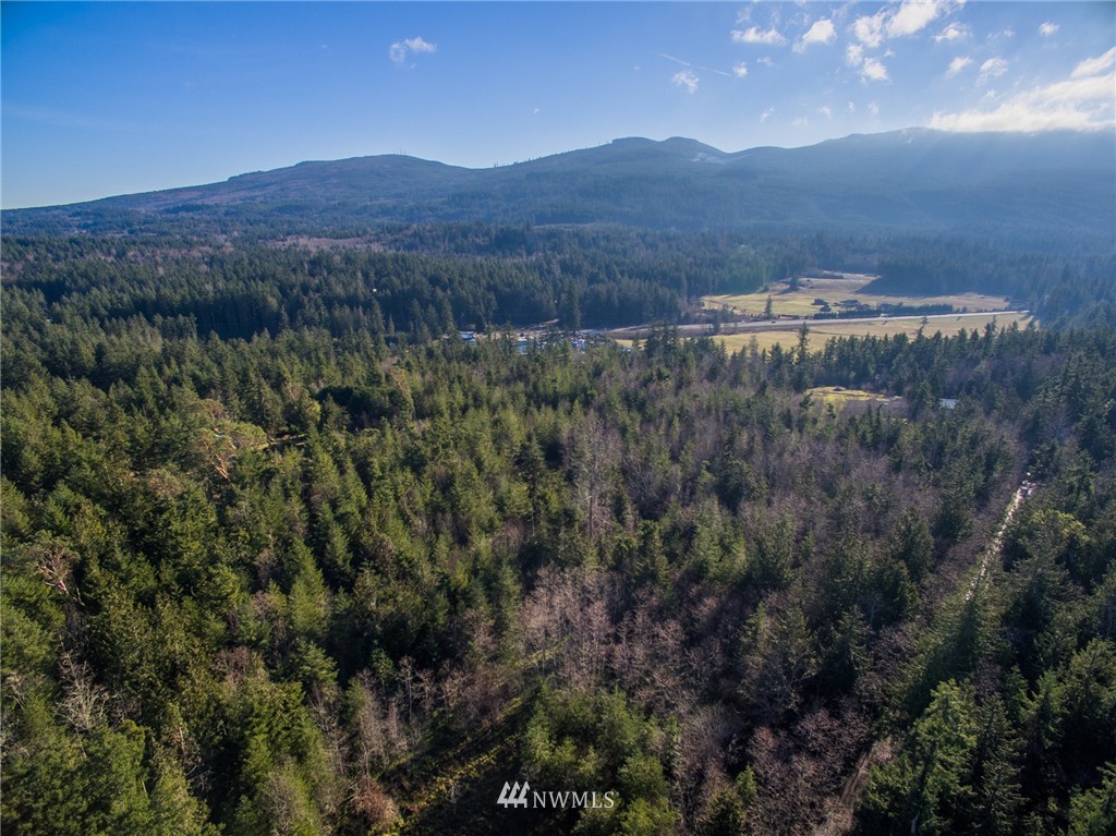 9999 Thompson Road Sequim, WA 98382 - Photo 6 of 6 Gallery Image 6