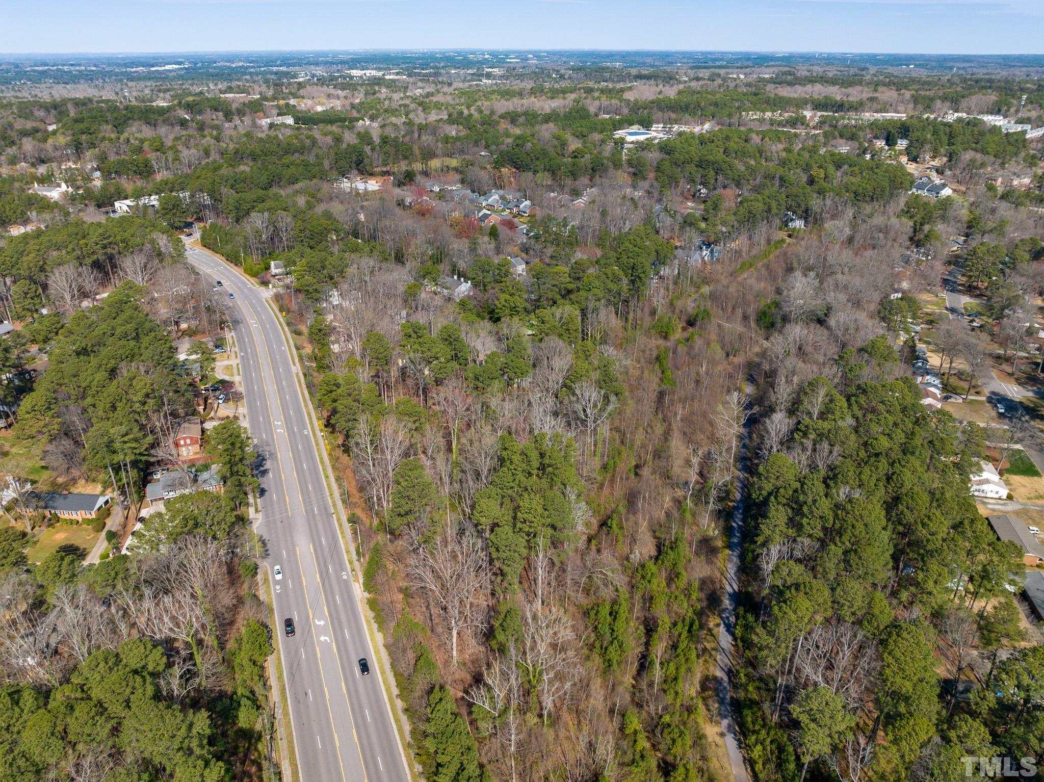 a view of a city with lush green forest
