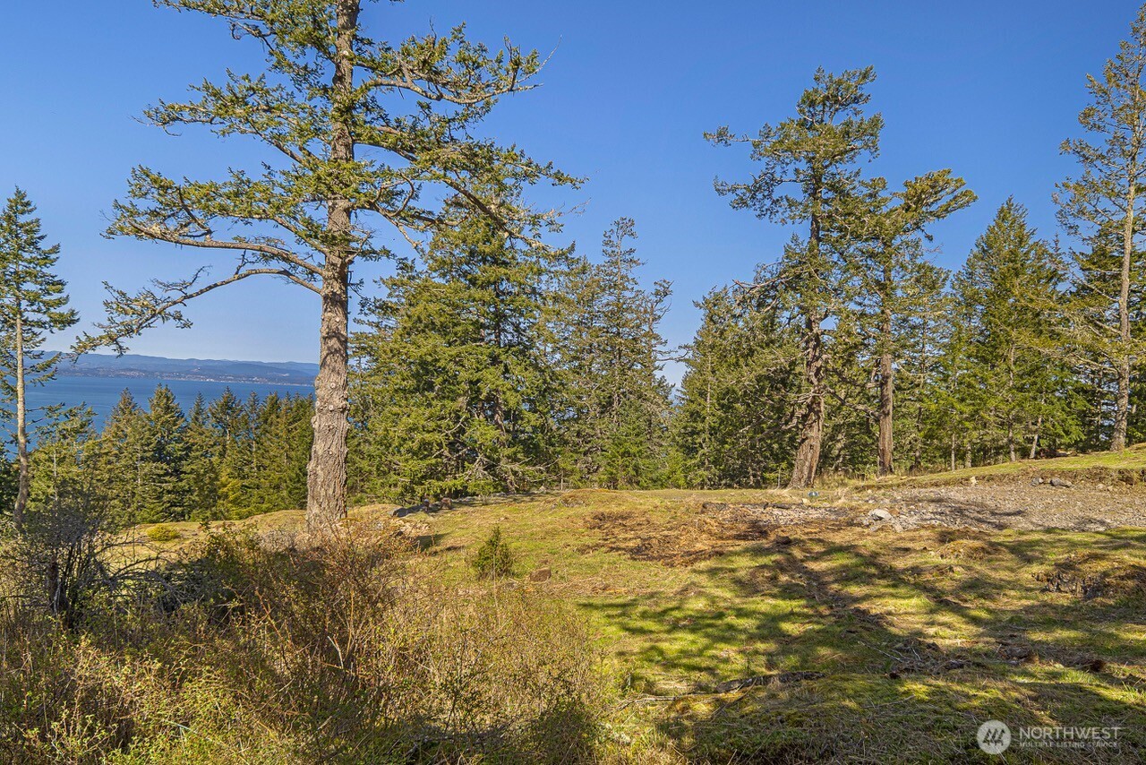 30 Rascal Road Friday Harbor, WA 98250 - Photo 3 of 20