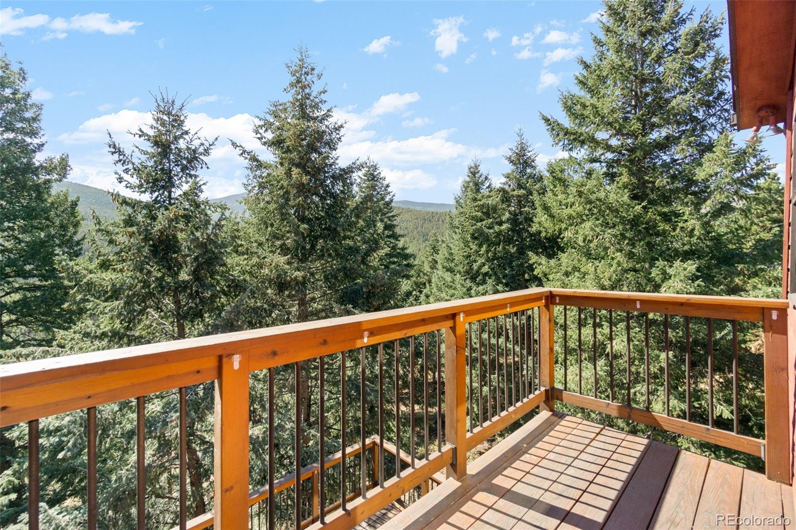 32438 Little Cub Road Evergreen, CO 80439 - Photo 18 of 34
