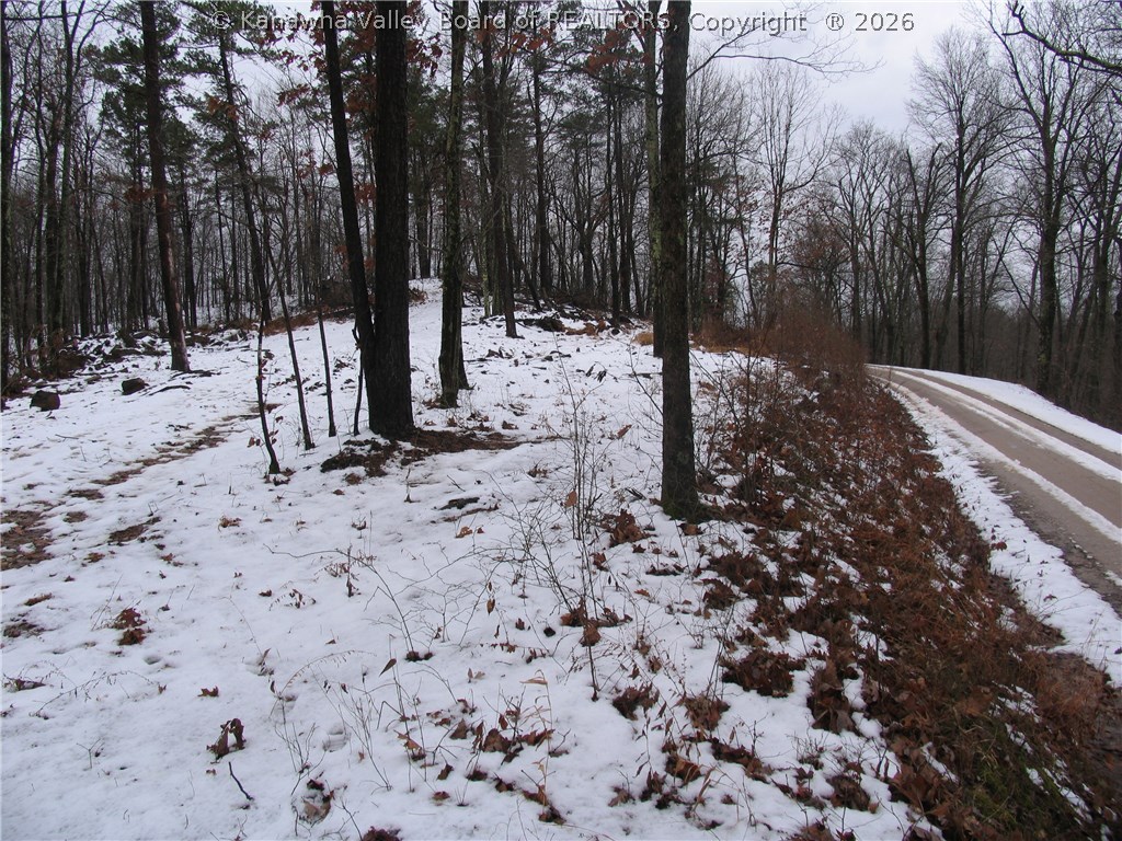 0 Foster Ridge Road Evans, WV 25241 - Photo 7 of 12 Gallery Image 7