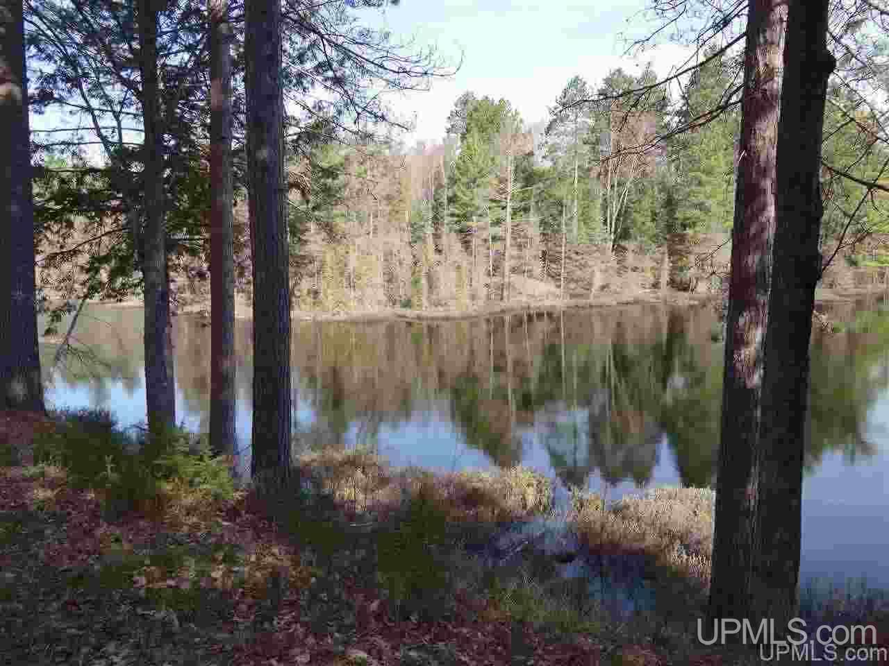 12791 Kelly Lake Road Baraga, MI 49908 - Photo 15 of 47 Gallery Image 15