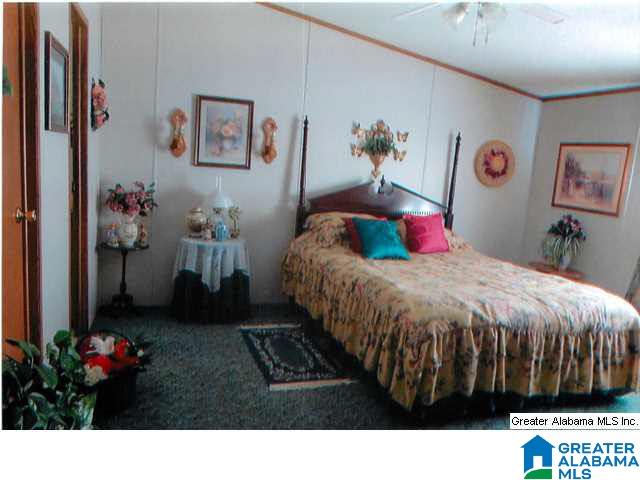 384 Pine Harbor Road Pell City, AL 35128 - Photo 7 of 12