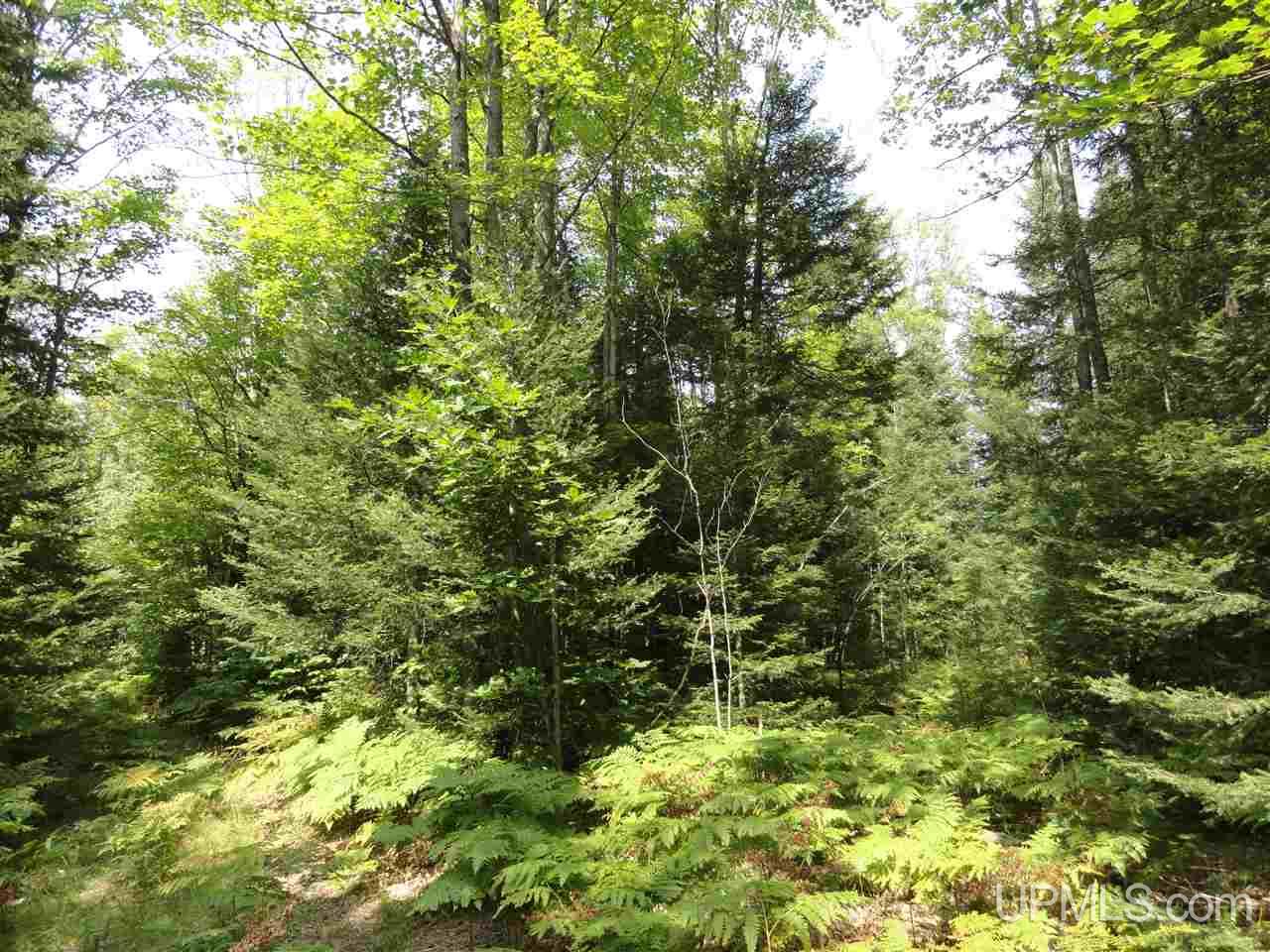 40-acres 40-acres Co Road Ishpeming, MI 49849 - Photo 20 of 36