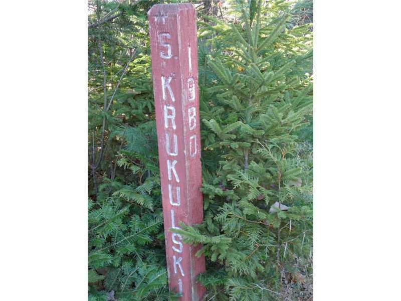 Lot 65-1 Stanchfield Ridge Road Milo, ME 04463 - Photo 8 of 10 Exterior Front. The south corner has...