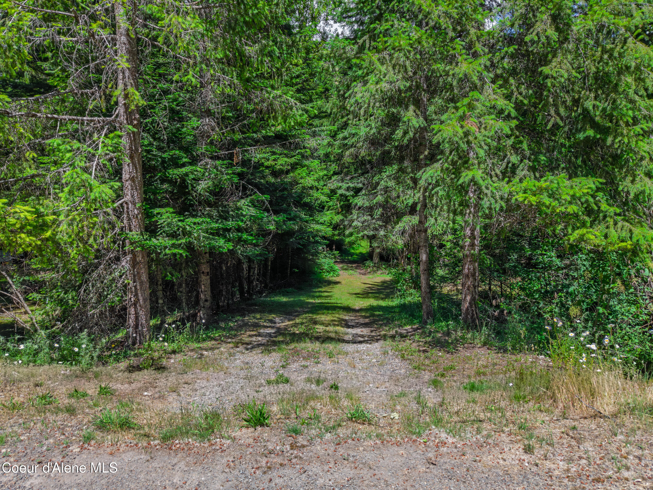 30839 St Joe River Road Calder, ID 83808 - Photo 7 of 33 Entrance