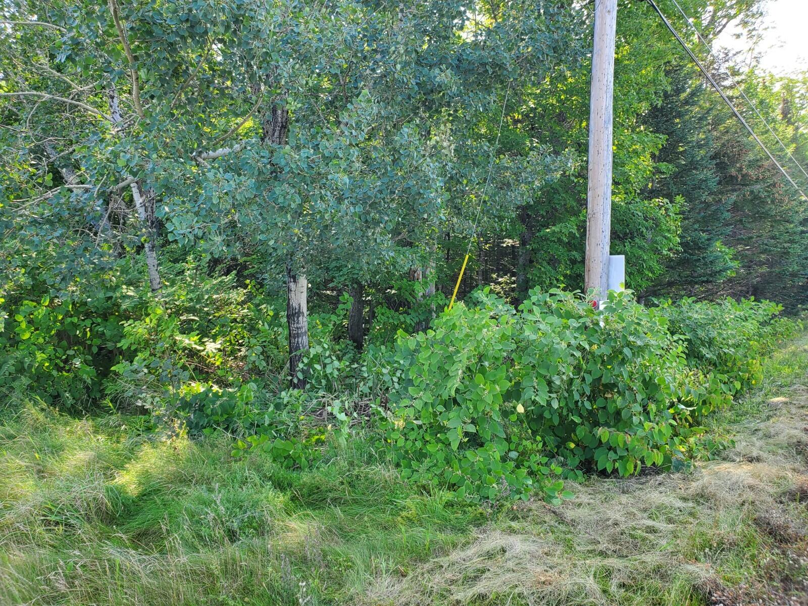 Off Station Road Sherman, ME 04776 - Photo 3 of 4 20210826_095830