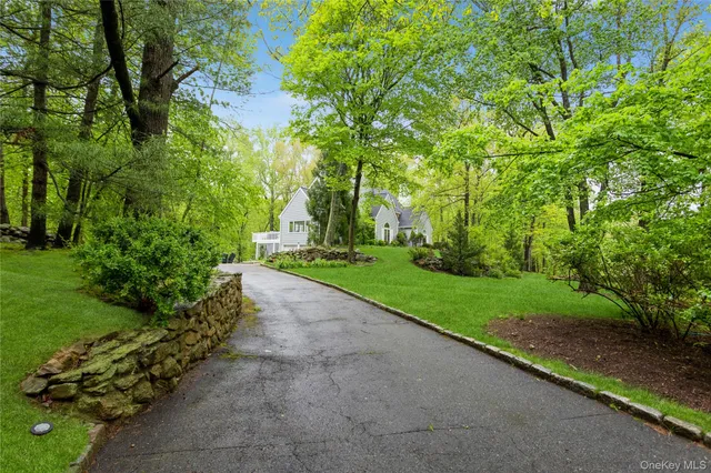 a view of a park with plants and trees
