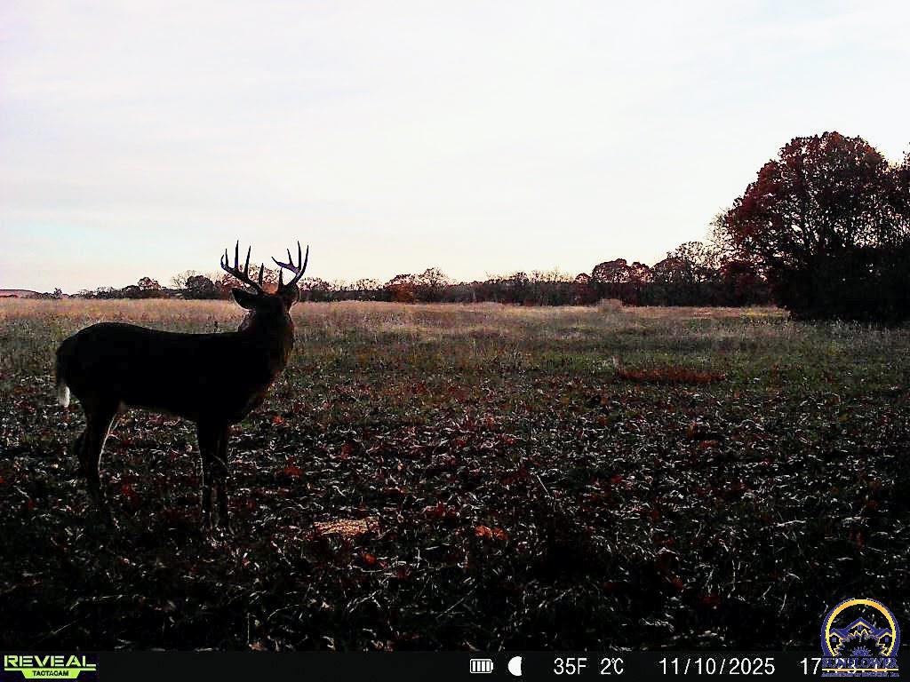 374 North 750 Road, Unit 6 PARCELS N 750 Overbrook, KS 66524 - Photo 49 of 59