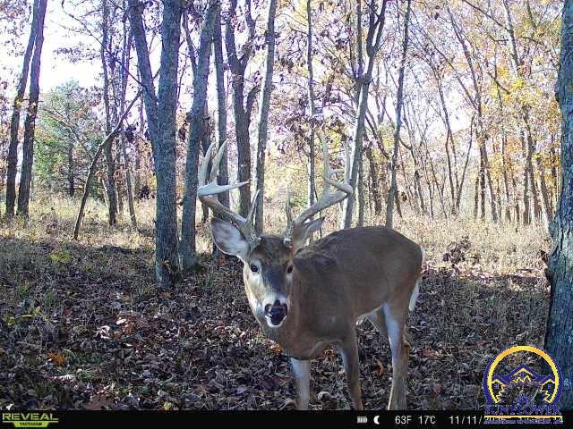 374 North 750 Road, Unit 6 PARCELS N 750 Overbrook, KS 66524 - Photo 59 of 59