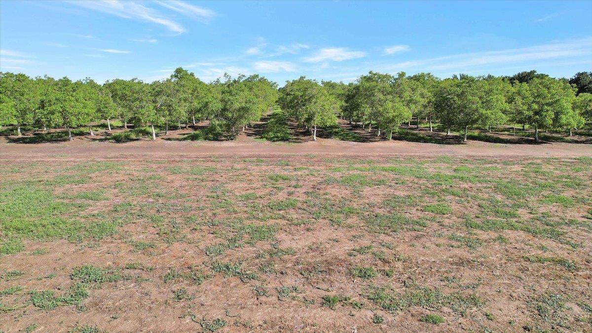 0 West Onstott Frontage Road Live Oak, CA 95953 - Photo 16 of 21