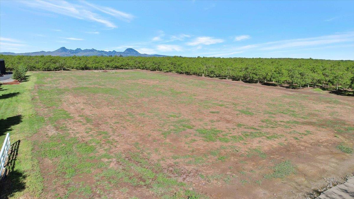 0 West Onstott Frontage Road Live Oak, CA 95953 - Photo 4 of 21