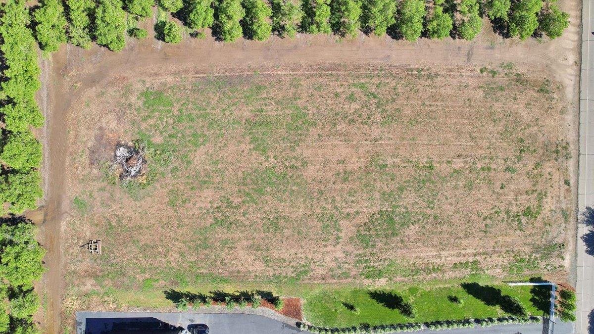 0 West Onstott Frontage Road Live Oak, CA 95953 - Photo 8 of 21