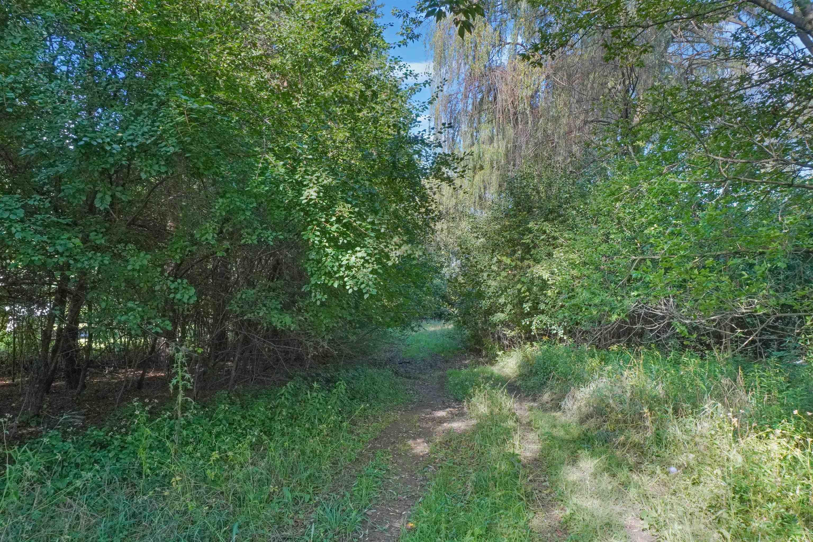 8910 Jorden Road Yale, MI 48097 - Photo 32 of 40 Gallery Image 32