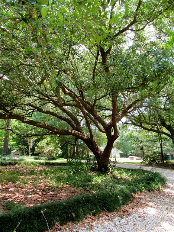 19034 Esterbrook Road Ponchatoula, LA 70454 - Photo 31 of 33 Gallery Image 31